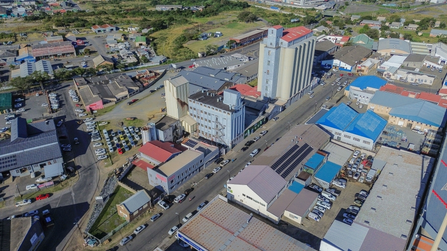 Commercial Property for Sale in Arcadia Eastern Cape